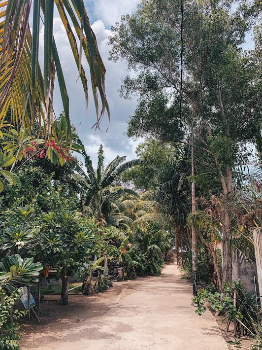 Processed with VSCO with hb2 preset