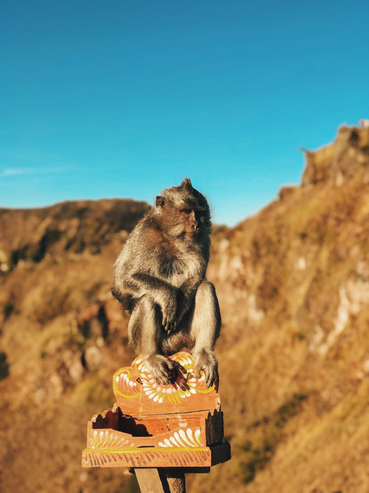 Processed with VSCO with hb2 preset