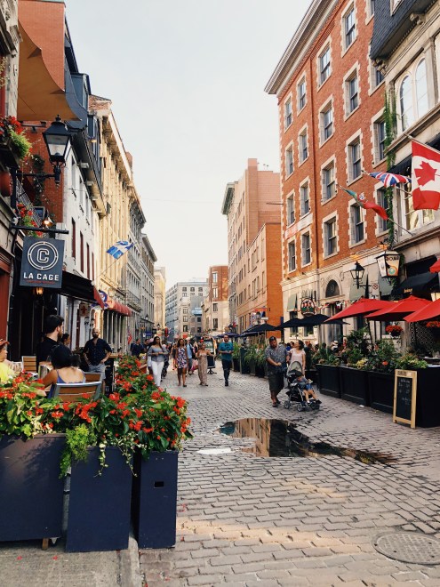 F86342D8-8B05-4B8D-AB75-ABA24A85EB8E copy.JPG